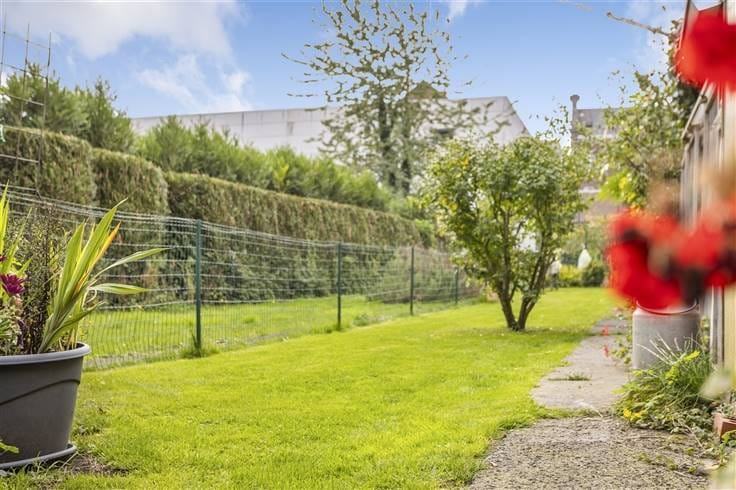 Le fond du jardin et son arbre